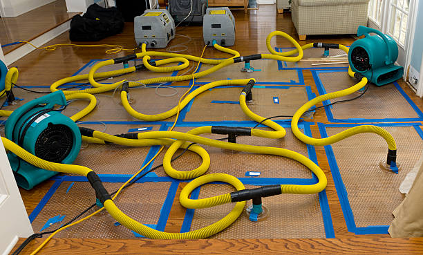 Professional Flood Damage Restoration technician working in Twin Lakes, CO